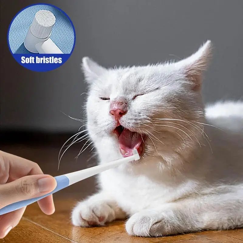 Pet Toothbrush for Cats & Dogs – Easy, Safe, and Effective Oral Care! - My Store