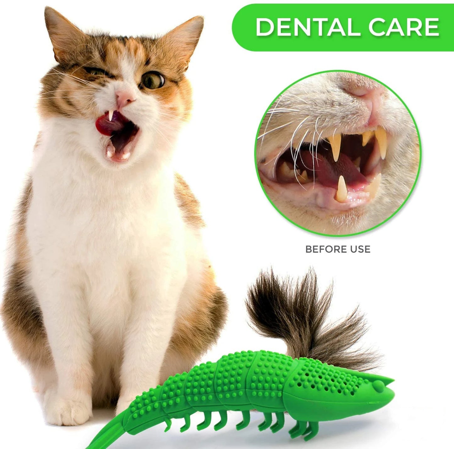 Make dental care fun with Cat Toothbrush Toy - My Store