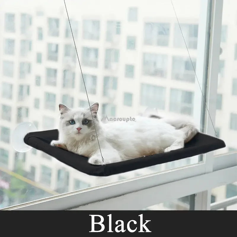 Hanging Cat Bed Pet Cat Hammock Aerial Cats Bed House Kitten Climbing Frame Sunny Window Seat Nest Bearing 20kg Pet Accessories - My Store