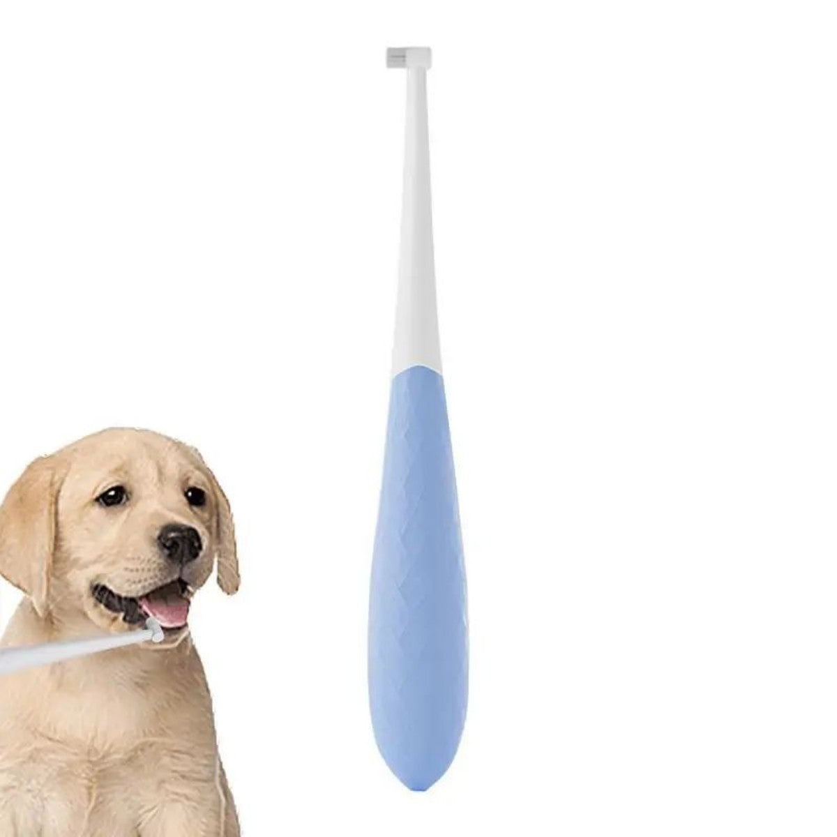 Pet Toothbrush for Cats & Dogs – Easy, Safe, and Effective Oral Care! - My Store